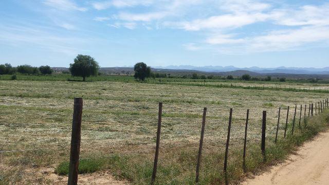 0 Bedroom Property for Sale in Oudtshoorn Rural Western Cape